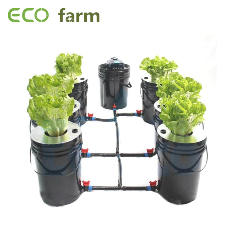ECO Farm DWC Hydroponic System Sistema de kit de cultivo de 6 cubos