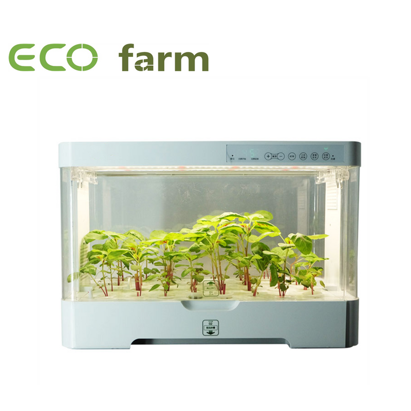 ECO Farm Pequeño Sistema de Cultivo Hidropónico de Plantación Interior Inteligente