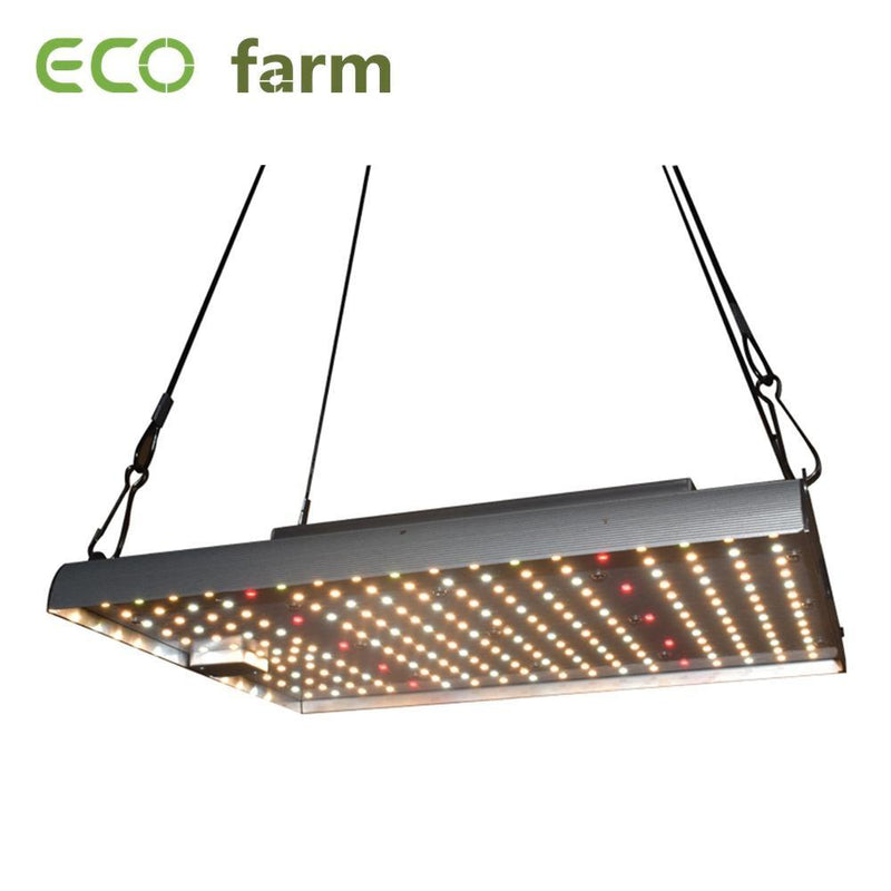 ECO Farm 120W/240W Quantum Board Luz LED Cultivo con Chips Samsung 301B y Driver MeanWell Espectro Completo