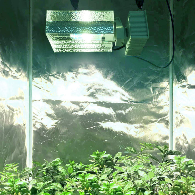 ECO Farm CMH 315W*2 Bombillas Kit de Luz de Cultivo con Reflector Balastro Adecuado para Lámpara MH/HPS