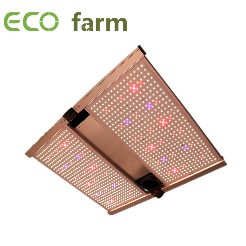 ECO Farm 240W/320W/480W/630W LED Quantum Board con Chips Samsung LM301B/ LM301H con Control de UV IR Ajustable