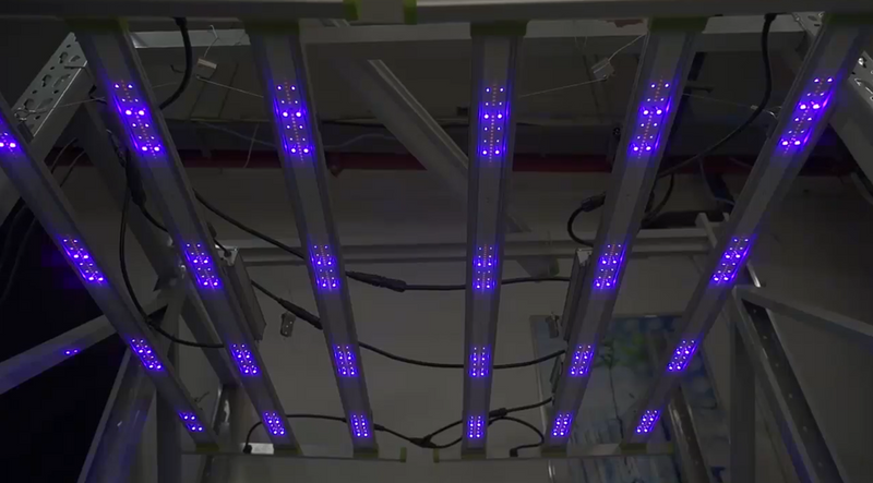 ECO Farm 680W Barras de Luz LED Cultivo Impermeables con Dos Canales Regulables con Chips Samsung 301B para Invernadero