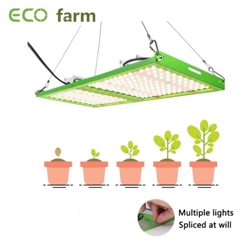 ECO Farm ECOG 50W/100W Quantum Board Empalmado con Chips Samsung 281B Luz LED Cultivo de Espectro Completo
